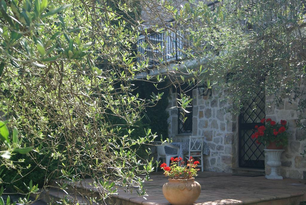 B&B H.M. Sonnino Szoba fotó